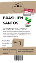 1 BRASILIEN SANTOS
